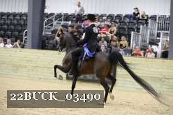 22BUCK_03490 proof