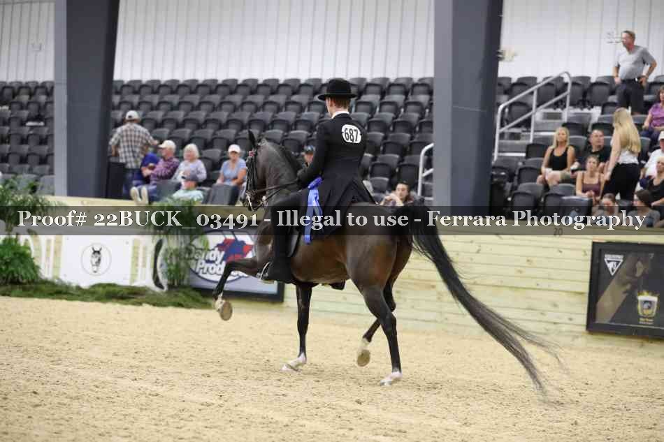 Proof 22BUCK_03491