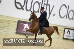 22BUCK_03492 proof