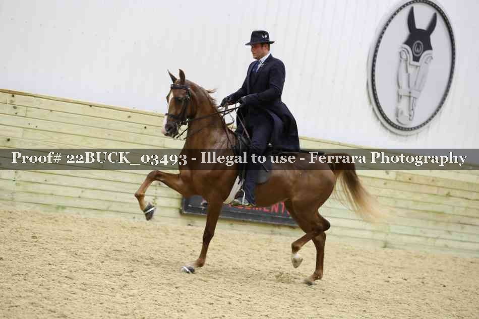 Proof 22BUCK_03493