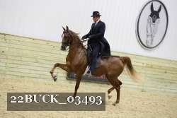 22BUCK_03493 proof