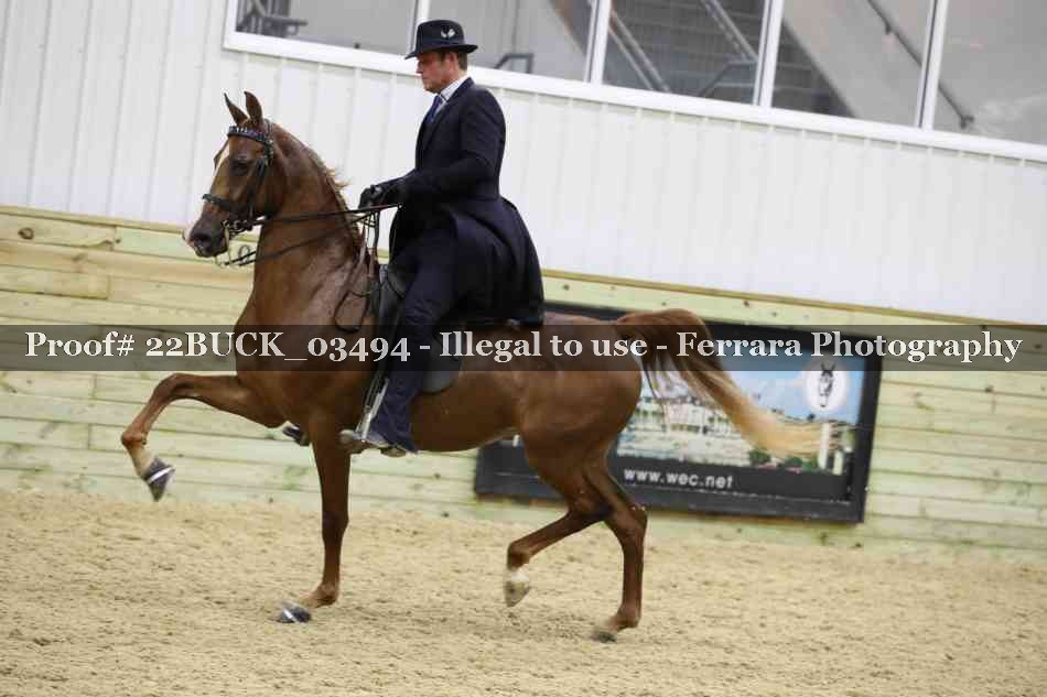 Proof 22BUCK_03494
