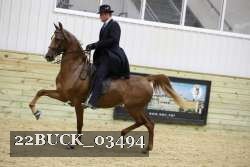 22BUCK_03494 proof