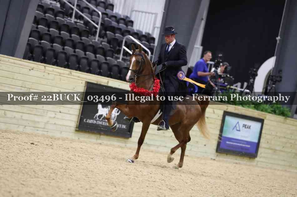 Proof 22BUCK_03496