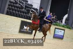 22BUCK_03496 proof