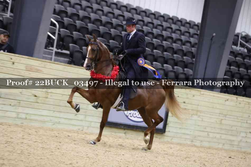 Proof 22BUCK_03497