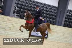 22BUCK_03497 proof