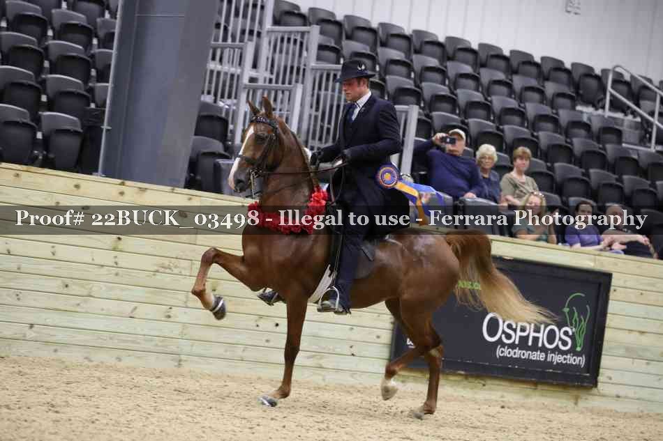 Proof 22BUCK_03498