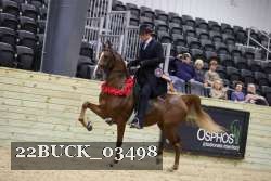 22BUCK_03498 proof