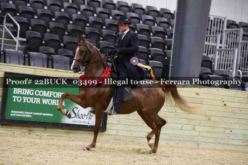 Proof 22BUCK_03499