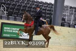 22BUCK_03499 proof