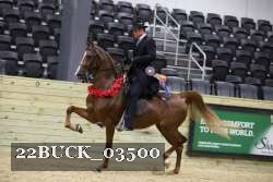 22BUCK_03500 proof