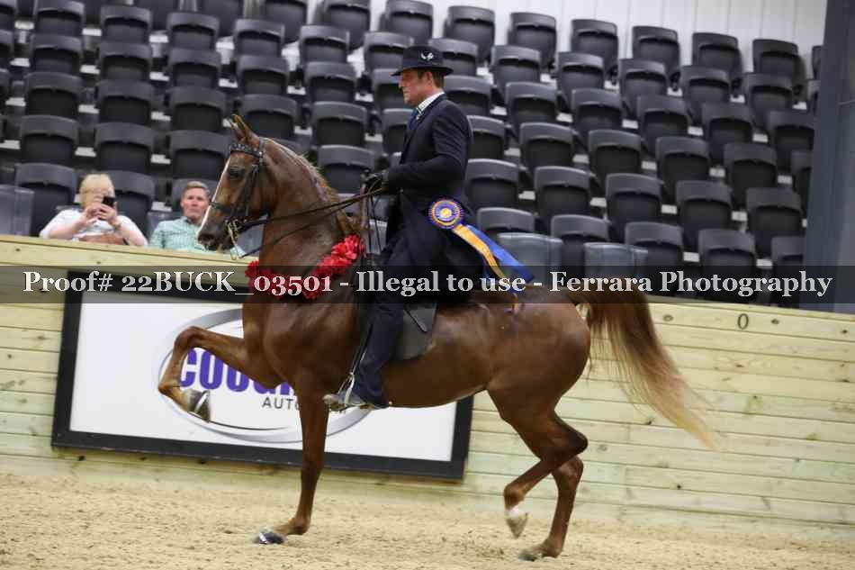 Proof 22BUCK_03501