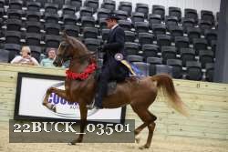 22BUCK_03501 proof