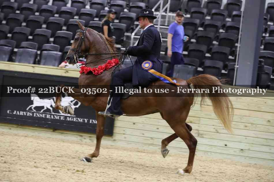 Proof 22BUCK_03502
