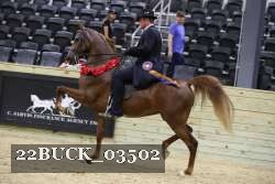22BUCK_03502 proof