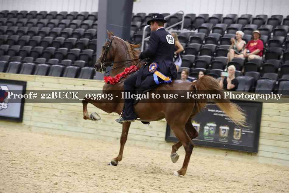 Proof 22BUCK_03503