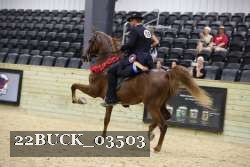 22BUCK_03503 proof