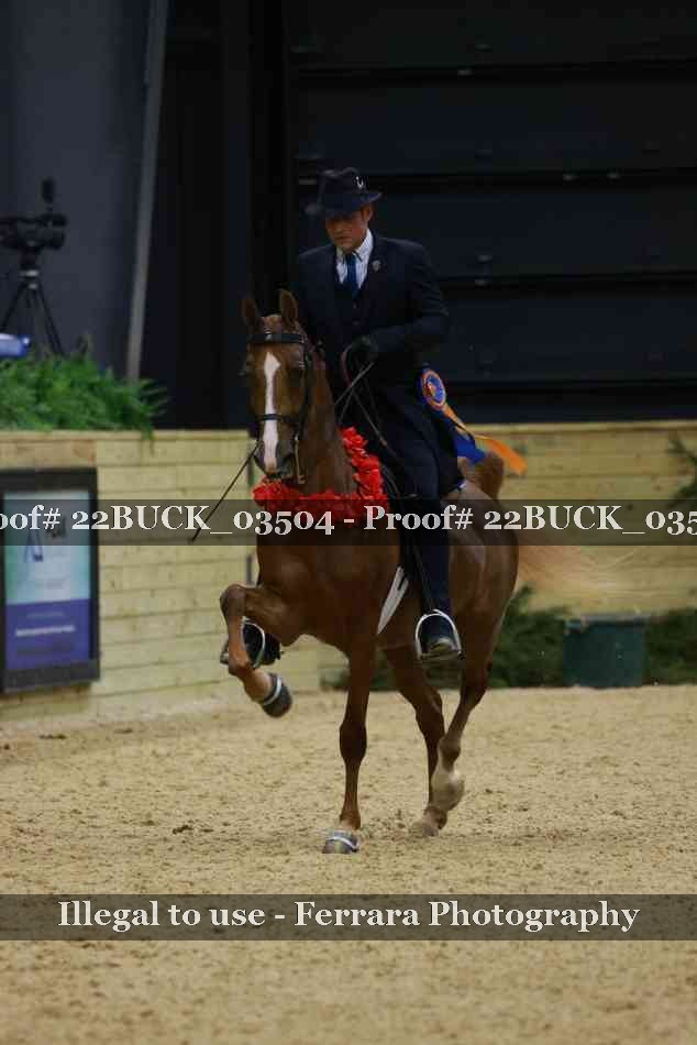 Proof 22BUCK_03504