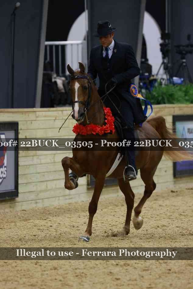 Proof 22BUCK_03505