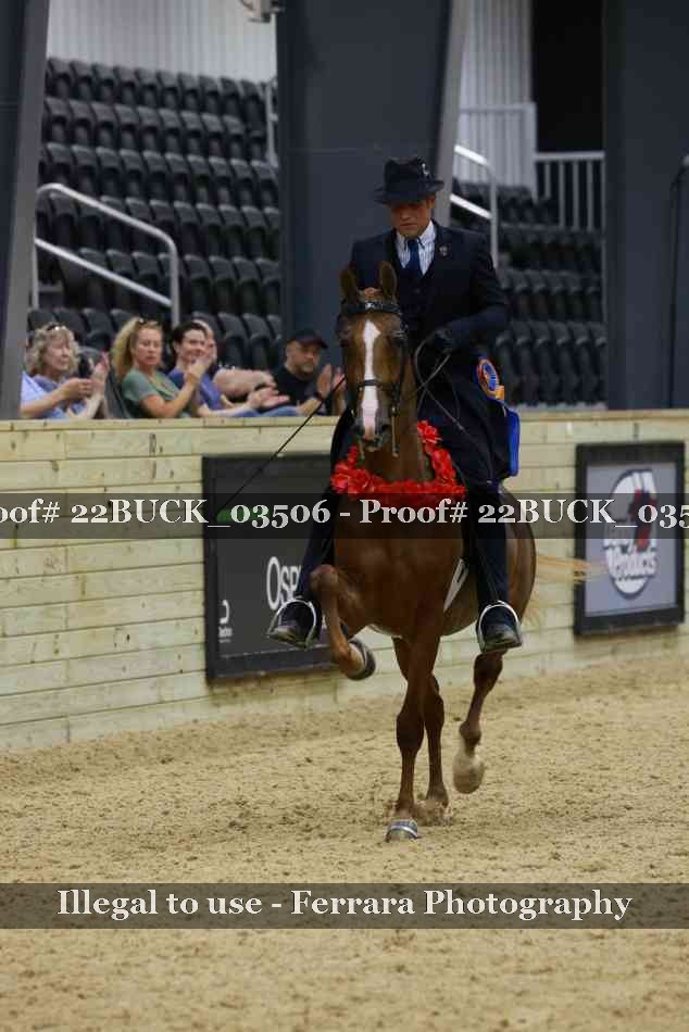 Proof 22BUCK_03506