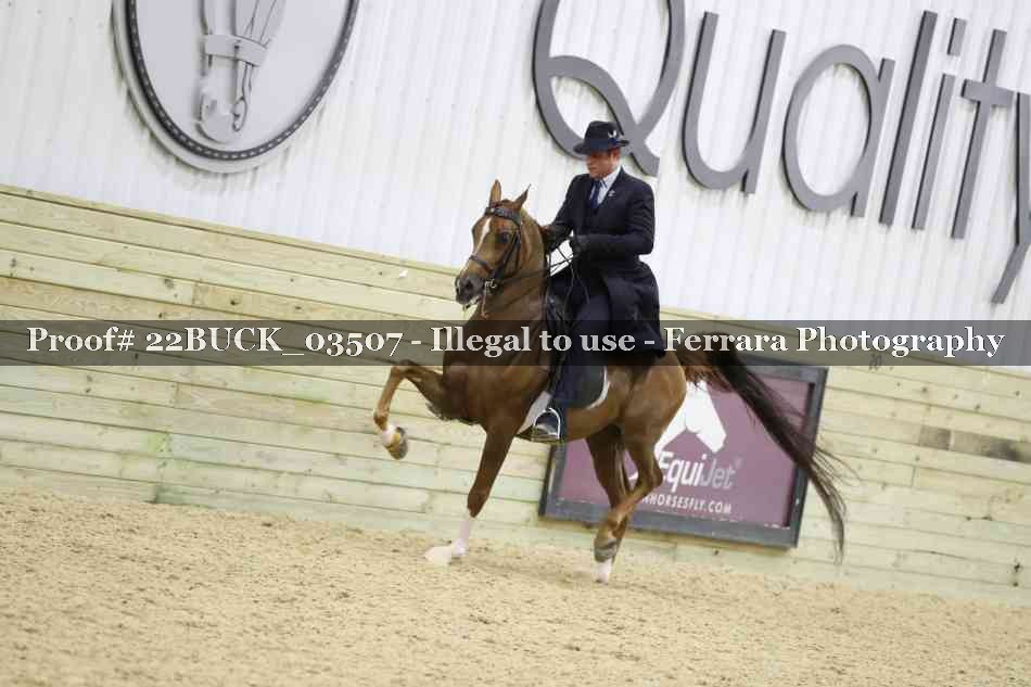 Proof 22BUCK_03507