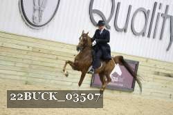 22BUCK_03507 proof