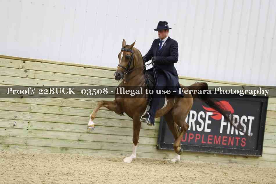 Proof 22BUCK_03508
