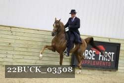 22BUCK_03508 proof