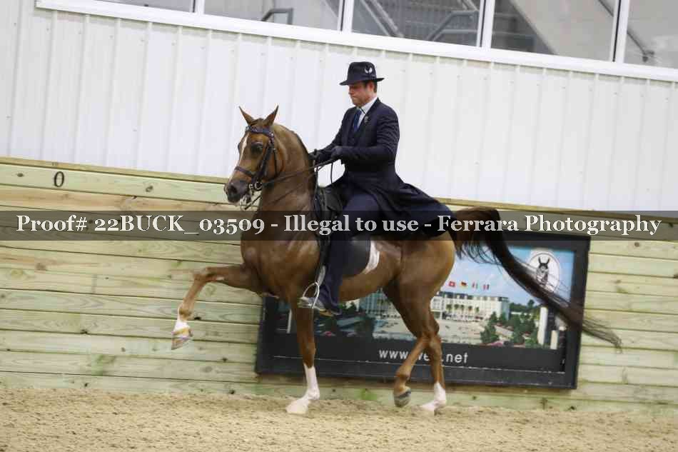 Proof 22BUCK_03509