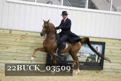 22BUCK_03509 proof