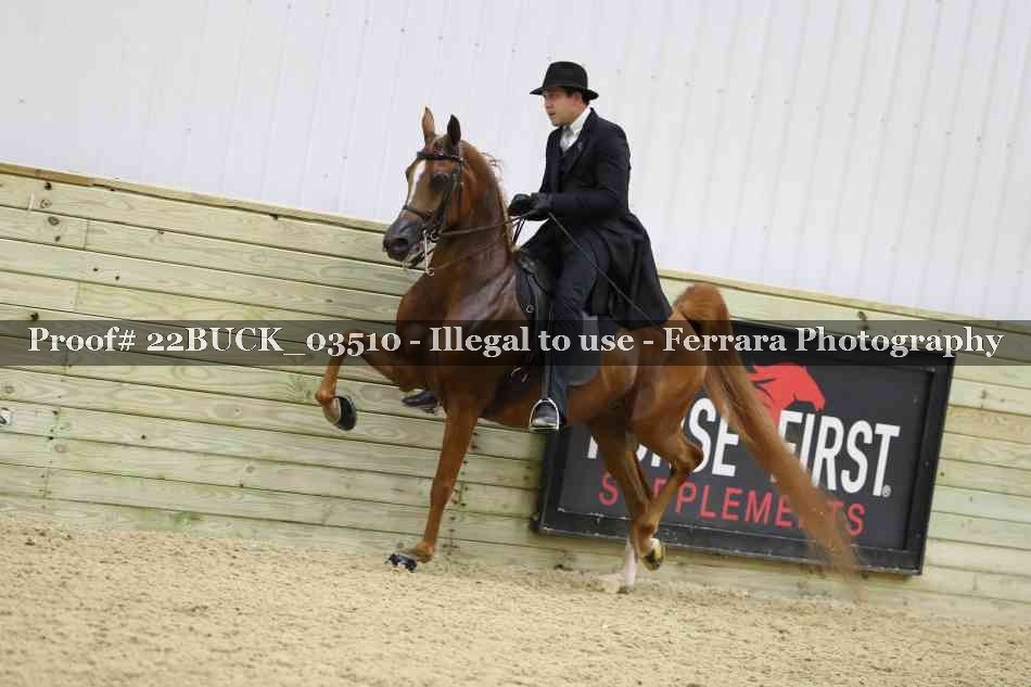 Proof 22BUCK_03510