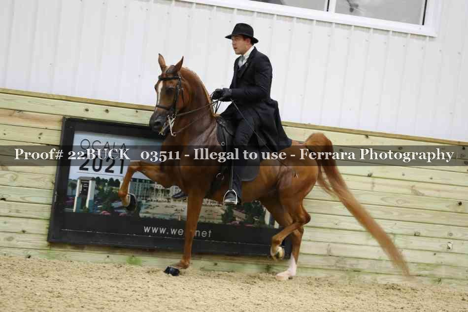 Proof 22BUCK_03511