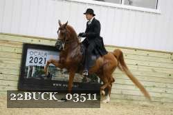 22BUCK_03511 proof