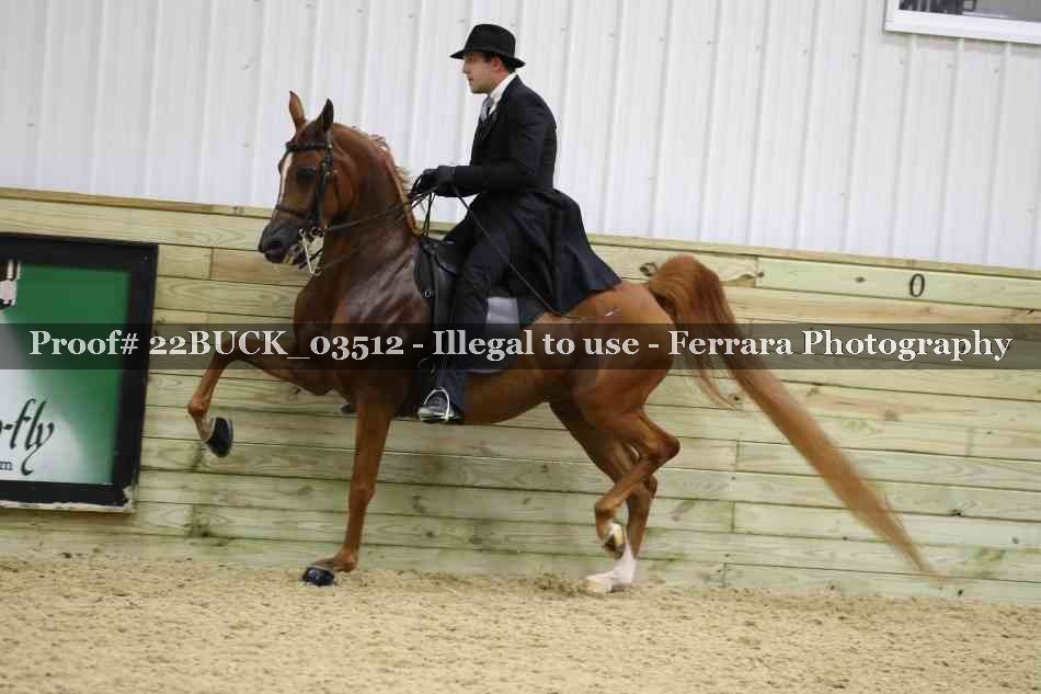 Proof 22BUCK_03512