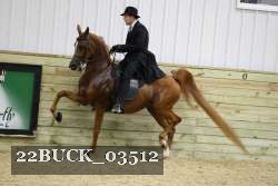 22BUCK_03512 proof
