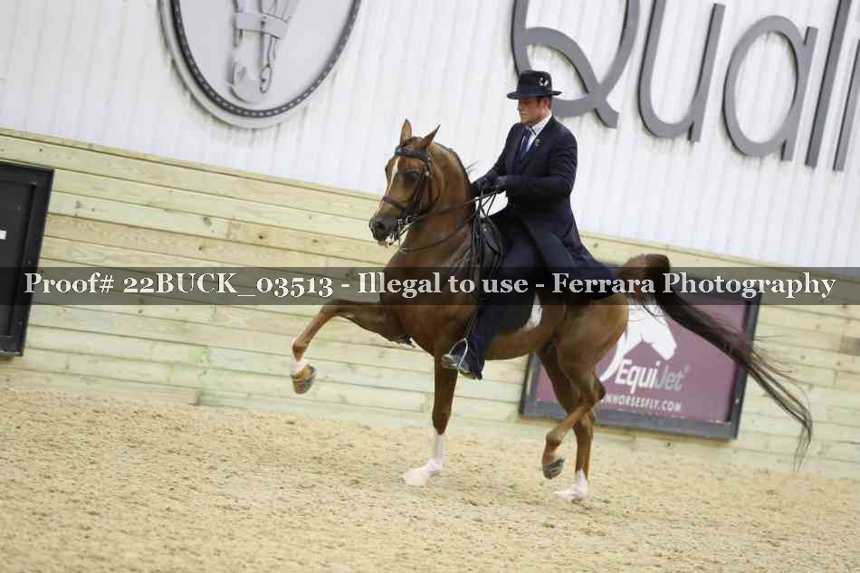 Proof 22BUCK_03513