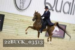 22BUCK_03513 proof