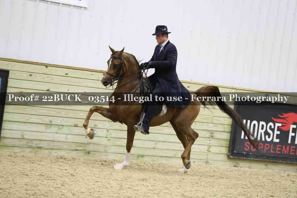Proof 22BUCK_03514