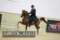 22BUCK_03514 proof