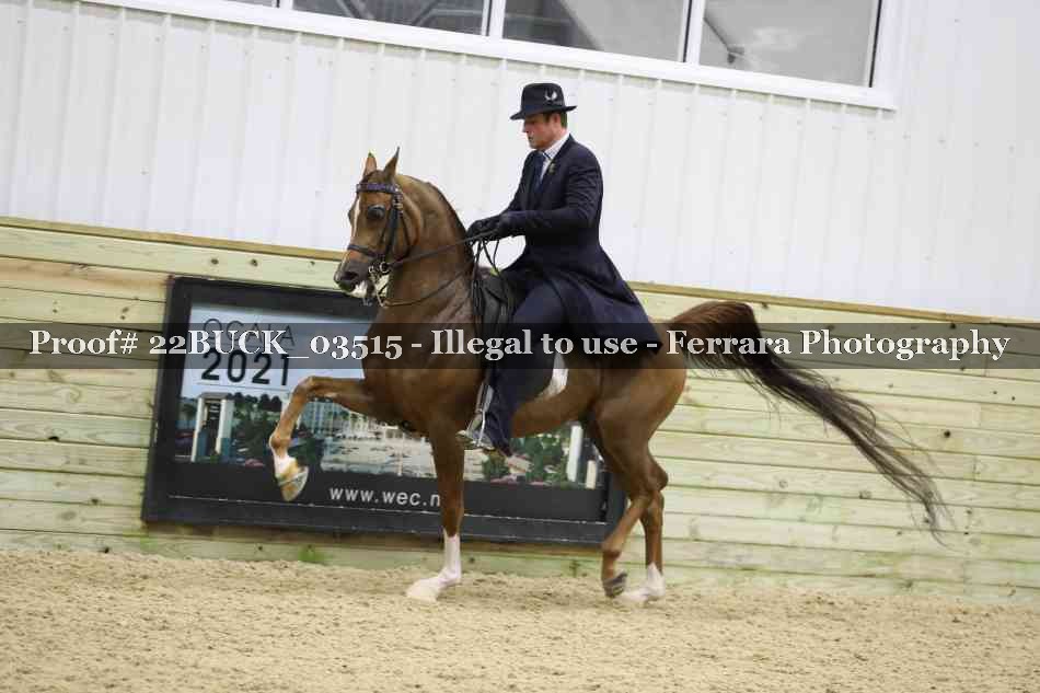 Proof 22BUCK_03515