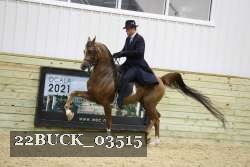 22BUCK_03515 proof