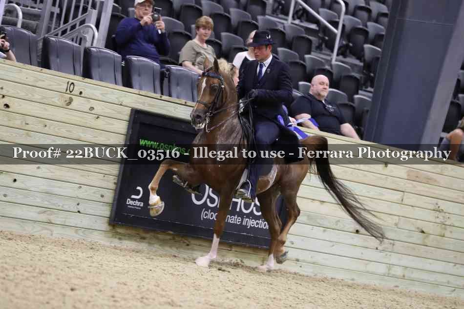 Proof 22BUCK_03516