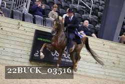 22BUCK_03516 proof