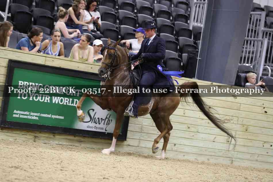 Proof 22BUCK_03517