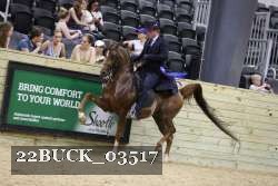 22BUCK_03517 proof