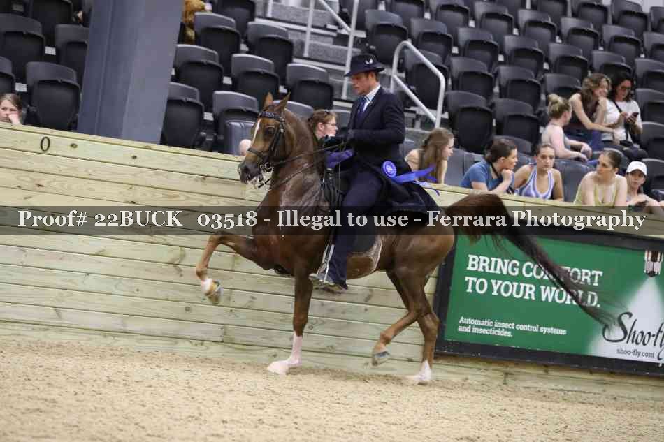 Proof 22BUCK_03518