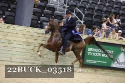 22BUCK_03518 proof