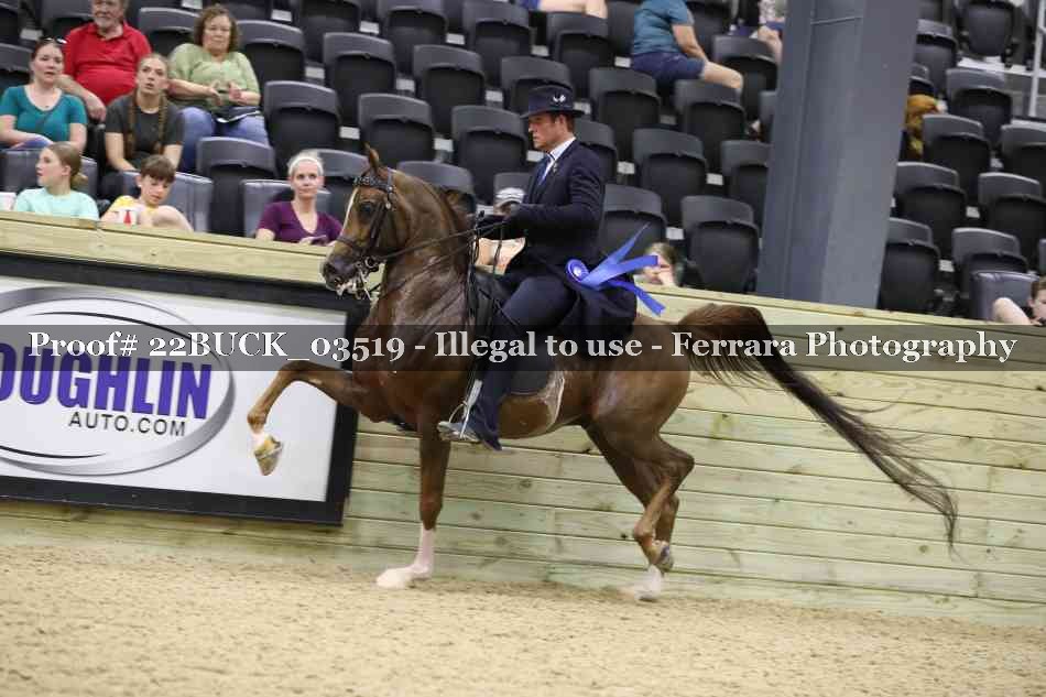 Proof 22BUCK_03519