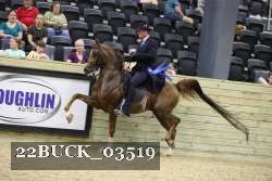 22BUCK_03519 proof